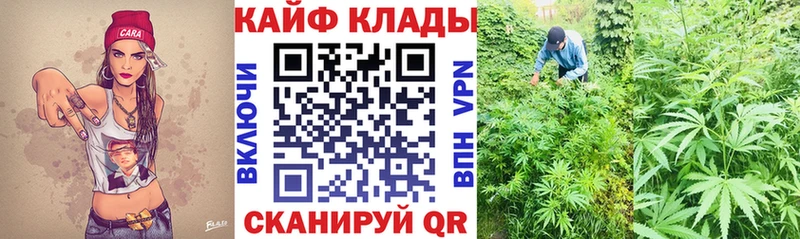 Где купить наркоту Вуктыл АМФ  ГАШ  Псилоцибиновые грибы  APVP 
