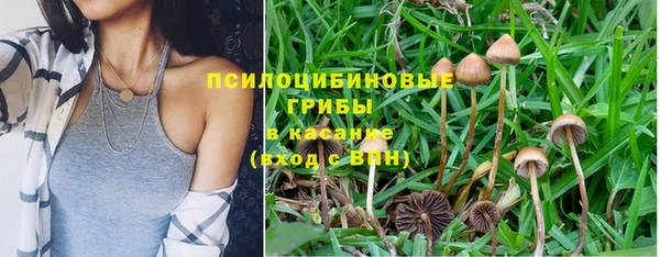 МДПВ Волосово